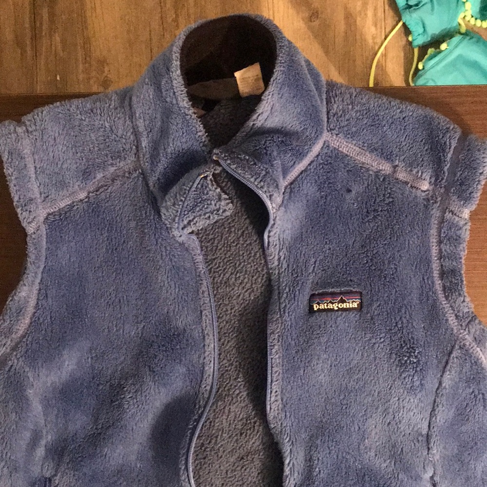Patagonia fleece vest